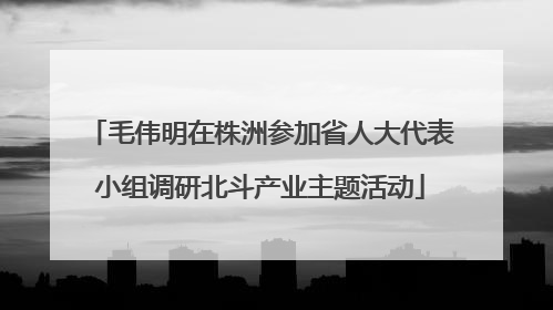毛伟明在株洲参加省人大代表小组调研北斗产业主题活动