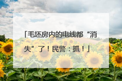 毛坯房内的电线都“消失”了！民警：抓！