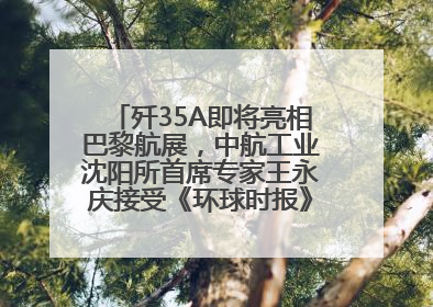 歼35A即将亮相巴黎航展，中航工业沈阳所首席专家王永庆接受《环球时报》专访：未来数量可以有很多