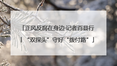 正风反腐在身边·记者百县行丨“双探头”守好“拨付路”