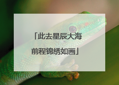 此去星辰大海 前程锦绣如画
