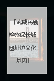武威民勤检察保长城遗址护文化基因