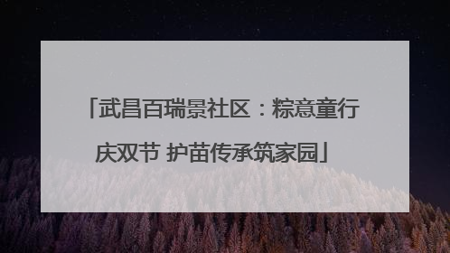 武昌百瑞景社区：粽意童行庆双节 护苗传承筑家园