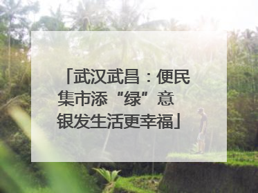 武汉武昌：便民集市添“绿”意 银发生活更幸福