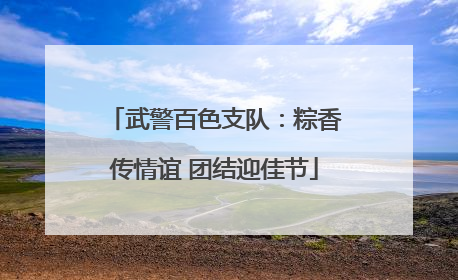 武警百色支队：粽香传情谊 团结迎佳节