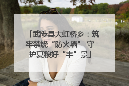 武陟县大虹桥乡：筑牢禁烧“防火墙” 守护夏粮好“丰”景