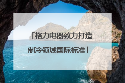 格力电器致力打造制冷领域国际标准