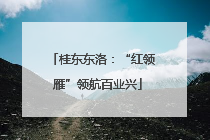 桂东东洛：“红领雁”领航百业兴
