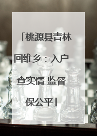 桃源县青林回维乡：入户查实情 监督保公平