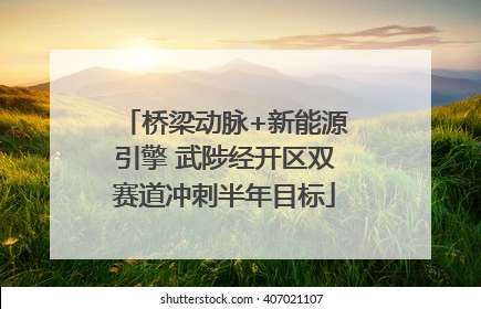 桥梁动脉+新能源引擎 武陟经开区双赛道冲刺半年目标