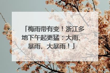 梅雨带有变！浙江多地下午起更猛：大雨、暴雨、大暴雨！