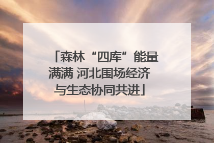 森林“四库”能量满满 河北围场经济与生态协同共进