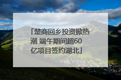 楚商回乡投资掀热潮 端午期间超60亿项目签约湖北