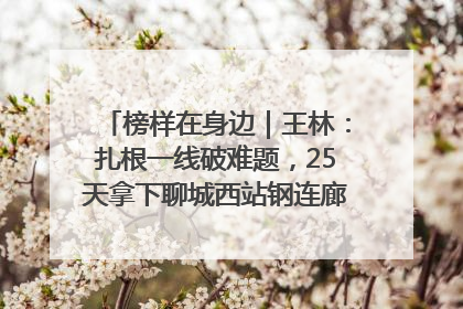 榜样在身边｜王林：扎根一线破难题，25天拿下聊城西站钢连廊“硬核”工程
