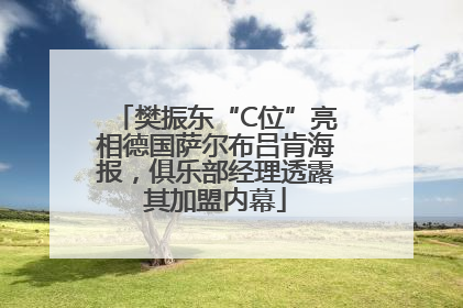 樊振东“C位”亮相德国萨尔布吕肯海报，俱乐部经理透露其加盟内幕