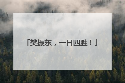 樊振东，一日四胜！