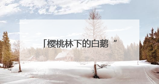 樱桃林下的白鹅“除草工” 奏响生态致富“向天歌”