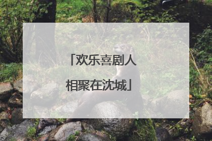 欢乐喜剧人 相聚在沈城