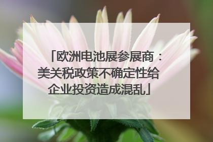 欧洲电池展参展商：美关税政策不确定性给企业投资造成混乱