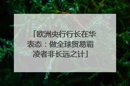 欧洲央行行长在华表态：做全球贸易霸凌者非长远之计