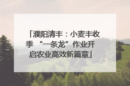 濮阳清丰：小麦丰收季 “一条龙”作业开启农业高效新篇章