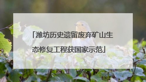 潍坊历史遗留废弃矿山生态修复工程获国家示范