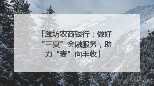潍坊农商银行：做好“三夏”金融服务，助力“麦”向丰收