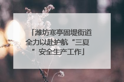 潍坊寒亭固堤街道全力以赴护航“三夏”安全生产工作