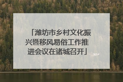 潍坊市乡村文化振兴暨移风易俗工作推进会议在诸城召开