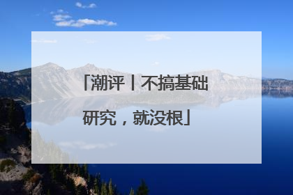 潮评丨不搞基础研究，就没根