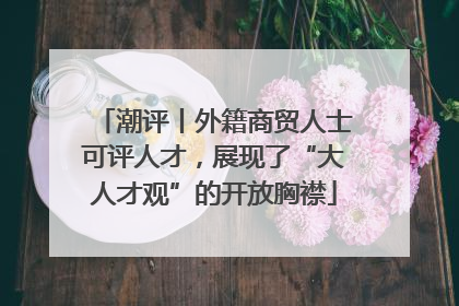 潮评丨外籍商贸人士可评人才，展现了“大人才观”的开放胸襟