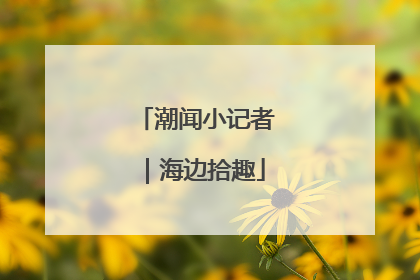 潮闻小记者｜海边拾趣