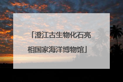 澄江古生物化石亮相国家海洋博物馆