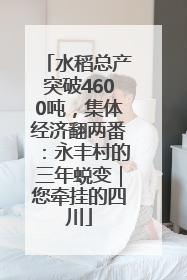 水稻总产突破4600吨，集体经济翻两番：永丰村的三年蜕变｜您牵挂的四川