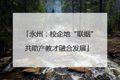 永州：校企地“联姻” 共助产教才融合发展