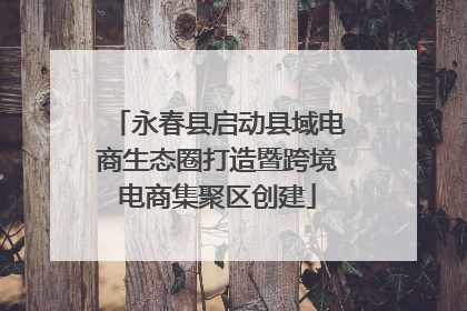 永春县启动县域电商生态圈打造暨跨境电商集聚区创建