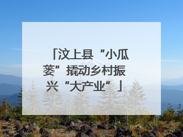 汶上县“小瓜蒌”撬动乡村振兴“大产业”