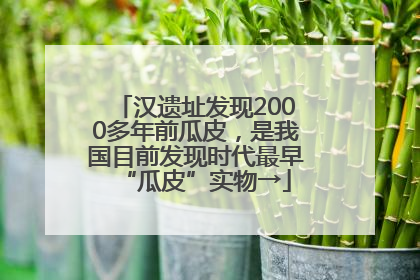 汉遗址发现2000多年前瓜皮，是我国目前发现时代最早“瓜皮”实物→