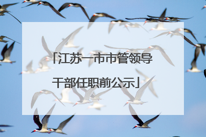 江苏一市市管领导干部任职前公示