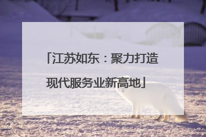 江苏如东：聚力打造现代服务业新高地