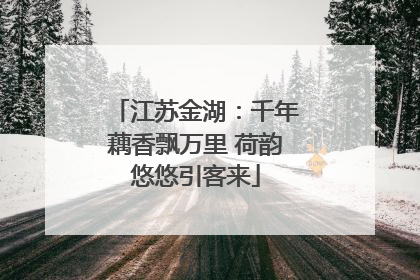 江苏金湖：千年藕香飘万里 荷韵悠悠引客来