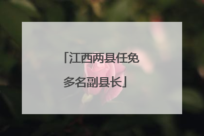 江西两县任免多名副县长