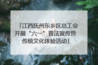 江西抚州东乡区总工会开展“六一”普法宣传暨传统文化体验活动