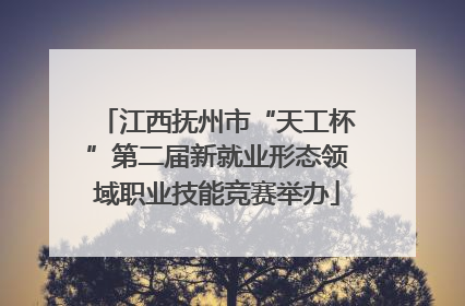 江西抚州市“天工杯”第二届新就业形态领域职业技能竞赛举办