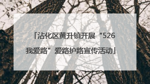 沾化区黄升镇开展“526我爱路”爱路护路宣传活动