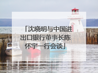 沈晓明与中国进出口银行董事长陈怀宇一行会谈