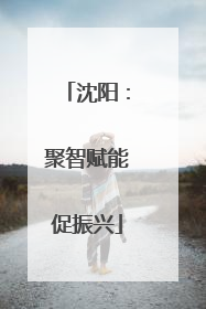 沈阳：聚智赋能促振兴