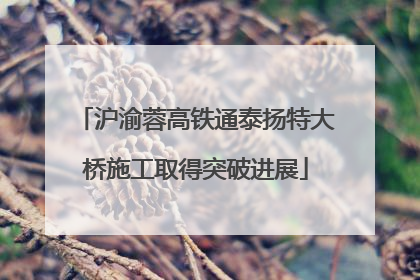 沪渝蓉高铁通泰扬特大桥施工取得突破进展