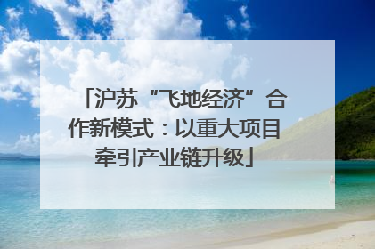 沪苏“飞地经济”合作新模式：以重大项目牵引产业链升级