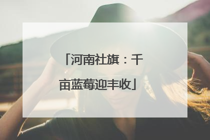 河南社旗：千亩蓝莓迎丰收